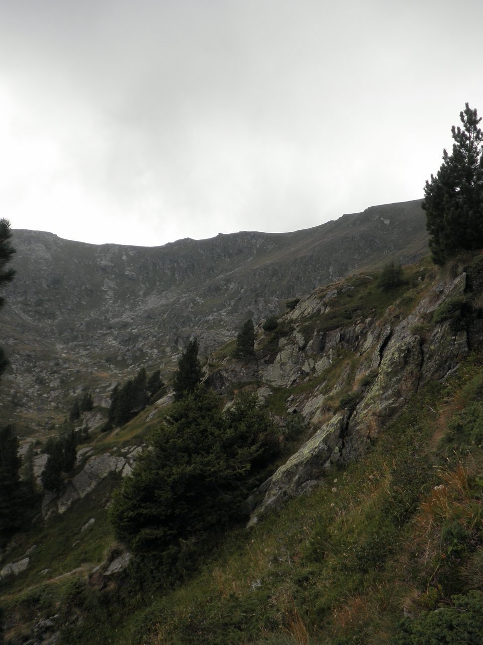 P9020120.JPG