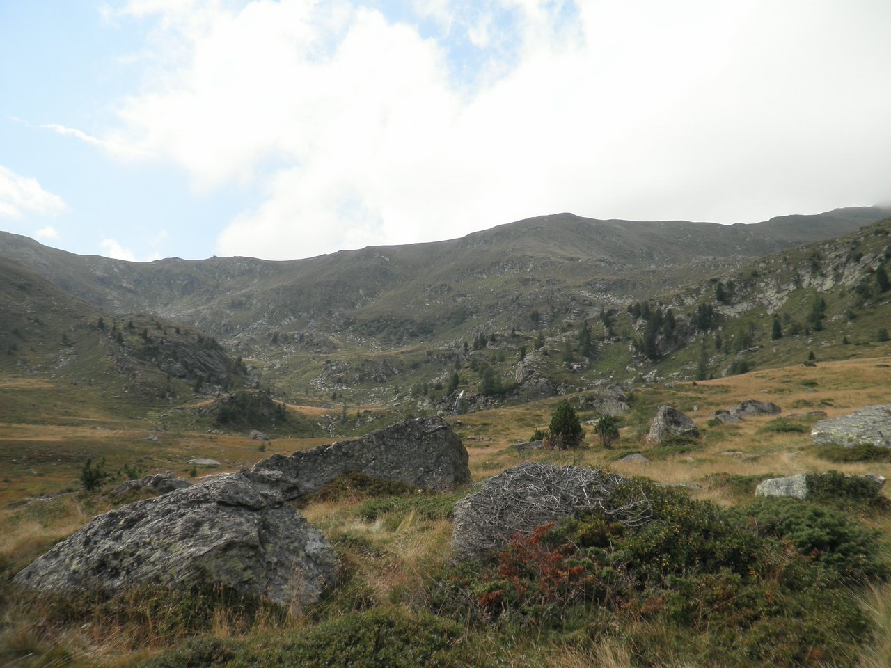 P9020125.JPG