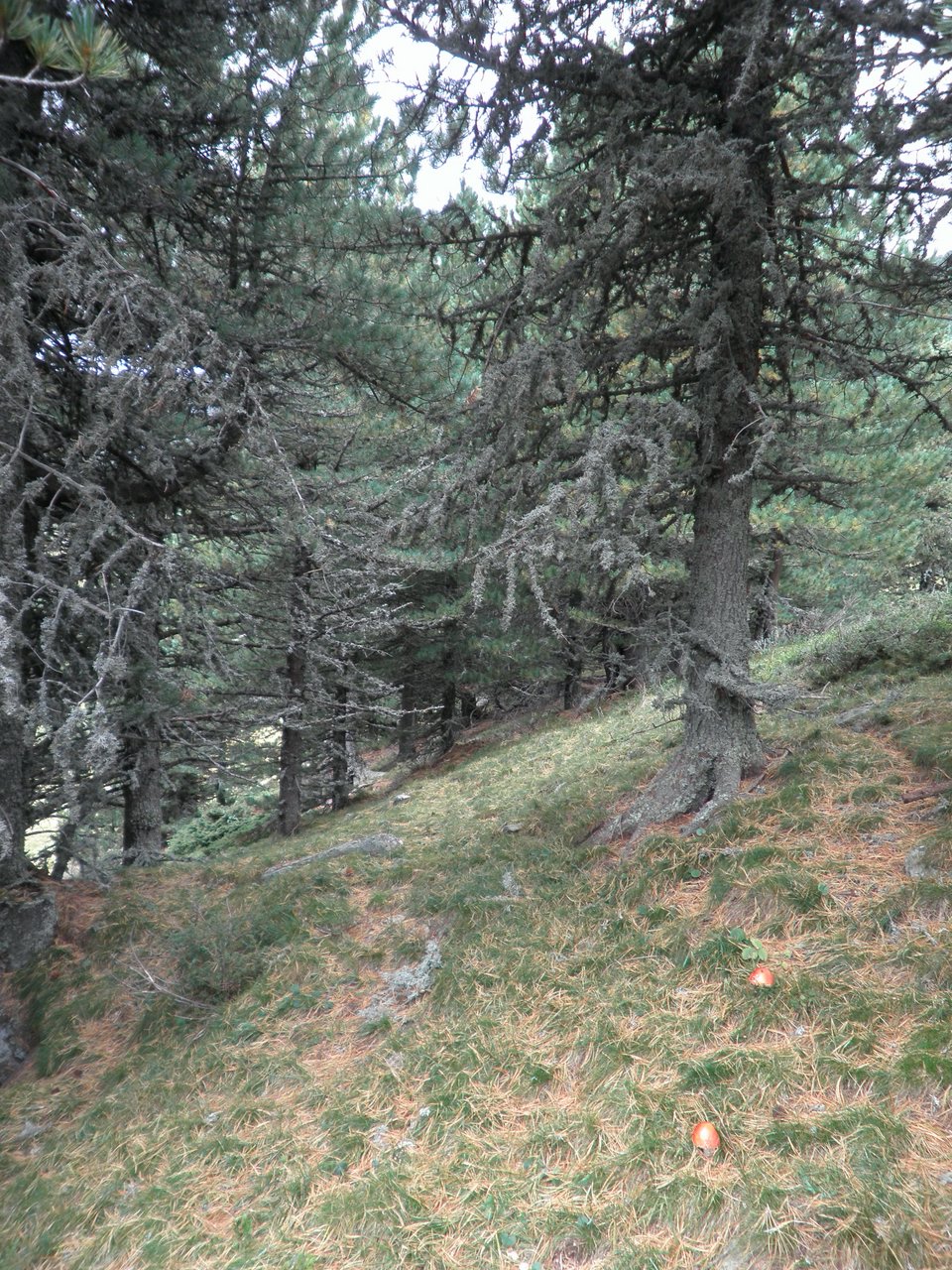 P9020144.JPG