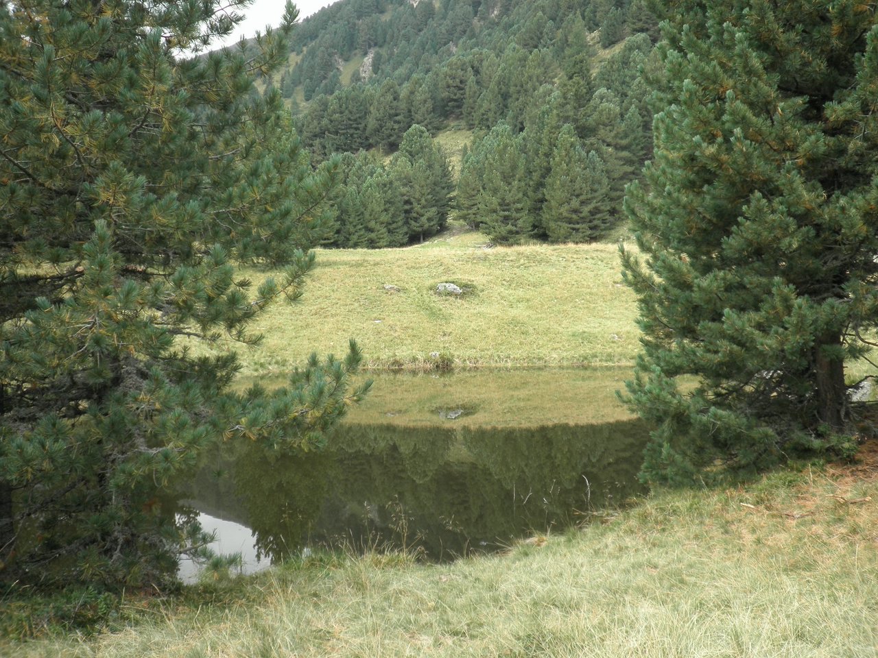 P9020146.JPG