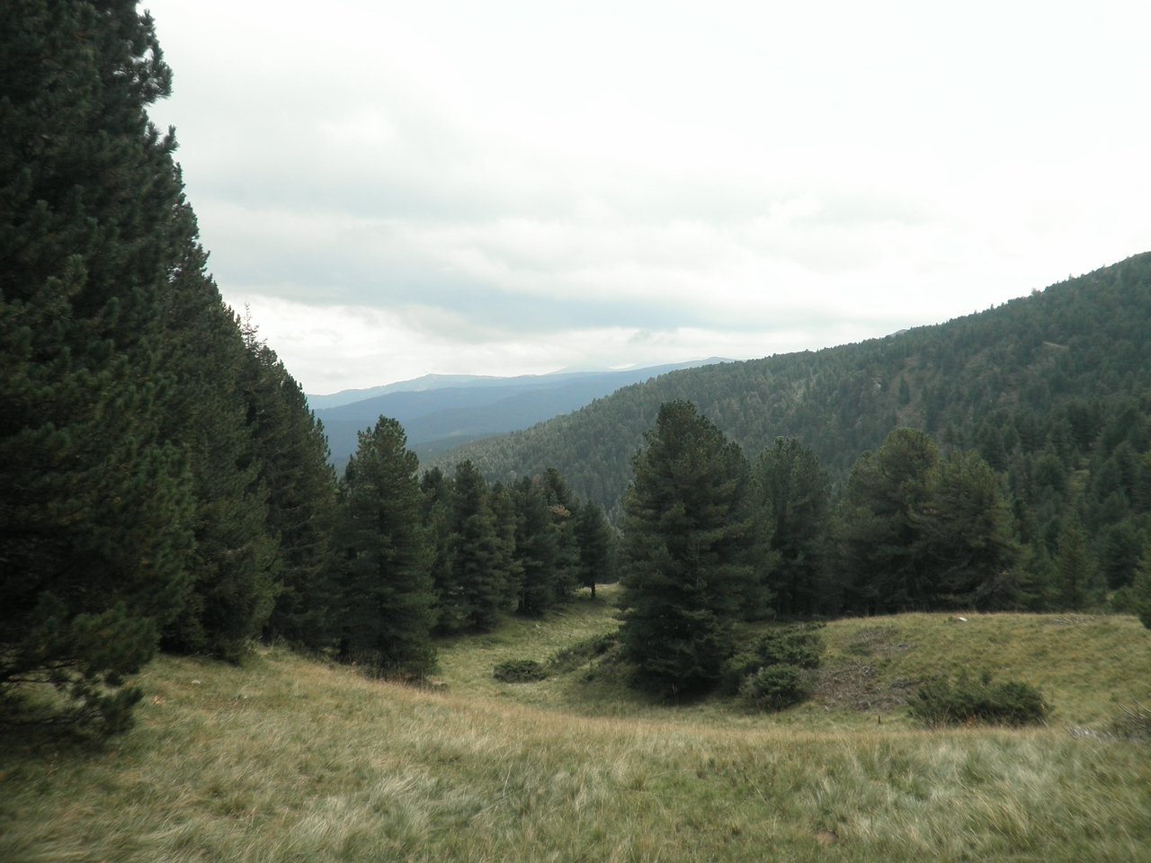 P9020147.JPG