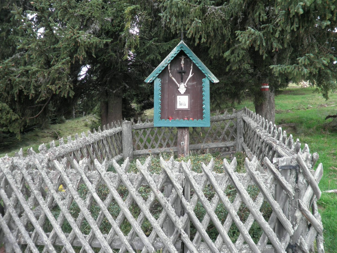 P9020166.JPG