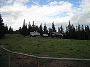 P9020003.JPG