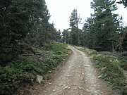 P9020005.JPG