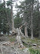 P9020006.JPG