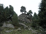 P9020011.JPG