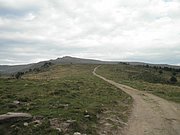 P9020012.JPG
