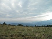P9020014.JPG