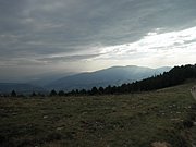 P9020015.JPG