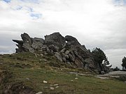 P9020017.JPG