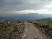 P9020027.JPG