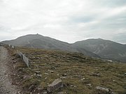 P9020030.JPG