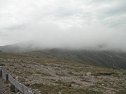 P9020033.JPG