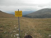 P9020095.JPG