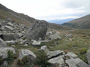 P9020112.JPG
