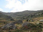P9020125.JPG