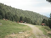 P9020136.JPG