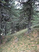 P9020144.JPG