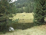 P9020146.JPG