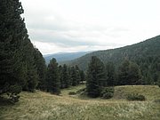 P9020147.JPG