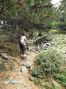 P9020148.JPG