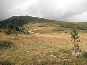 P9020157.JPG