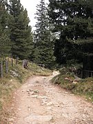 P9020158.JPG