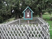 P9020166.JPG