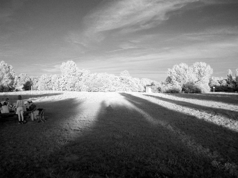 Lobau3.jpg