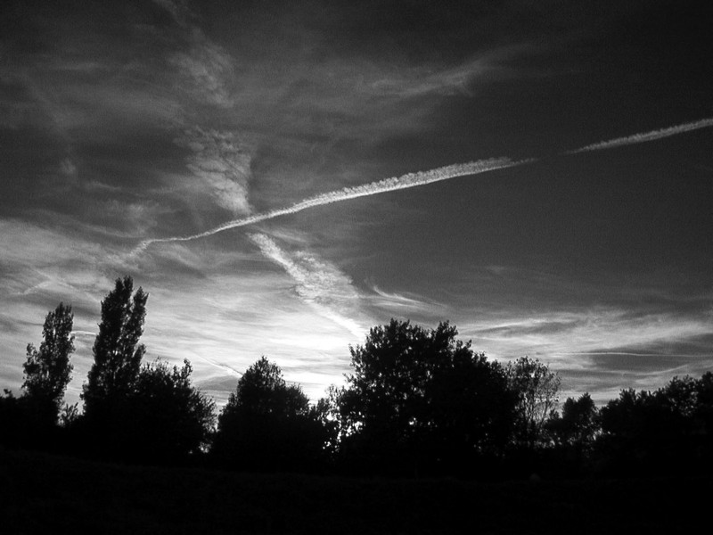 Lobau4.JPG